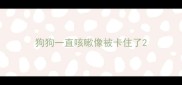 狗狗一直咳嗽像被卡住了