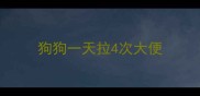狗狗一天拉4次大便