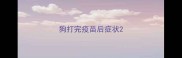 狗打完疫苗后症状