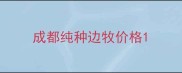成都纯种边牧价格