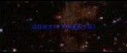 边牧幼犬2个月体重多少钱