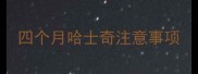 四个月哈士奇注意事项