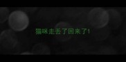 猫咪走丢了回来了