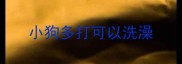 小狗多打可以洗澡