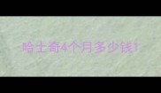 哈士奇4个月多少钱