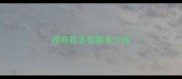 拉布拉多检疫多少钱