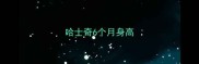 哈士奇6个月身高