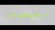 拉布拉多幼犬脾气坏