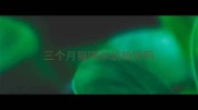 三个月猫喝羊奶粉好吗