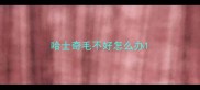 哈士奇毛不好怎么办
