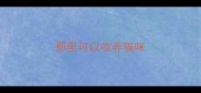 那里可以收养猫咪