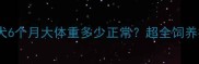 罗威纳幼犬6个月大体重多少正常超全饲养指南来了