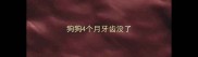 狗狗4个月牙齿没了