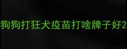狗狗打狂犬疫苗打啥牌子好