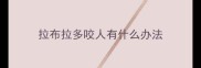 拉布拉多咬人有什么办法