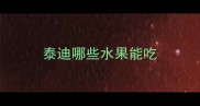 泰迪哪些水果能吃