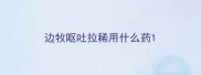 边牧呕吐拉稀用什么药