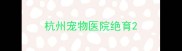 杭州宠物医院绝育