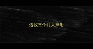 边牧三个月大掉毛