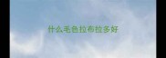 什么毛色拉布拉多好