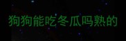 狗狗能吃冬瓜吗熟的