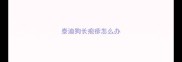 泰迪狗长疱疹怎么办