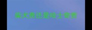 柴犬贵还是哈士奇贵