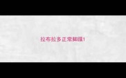 拉布拉多正常脚蹼