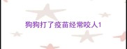 狗狗打了疫苗经常咬人