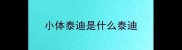 小体泰迪是什么泰迪