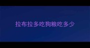 拉布拉多吃狗粮吃多少