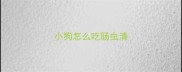 小狗怎么吃肠虫清