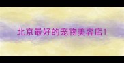 北京最好的宠物美容店