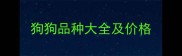 狗狗品种大全及价格