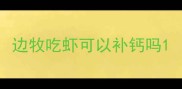 边牧吃虾可以补钙吗