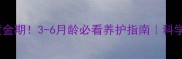 金毛幼犬黄金期3-6月龄必看养护指南科学养宠不踩坑