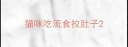 猫咪吃流食拉肚子