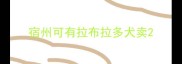 宿州可有拉布拉多犬卖