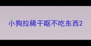 小狗拉稀干呕不吃东西