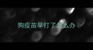 狗疫苗早打了怎么办
