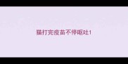 猫打完疫苗不停呕吐
