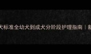 狗狗成犬标准全幼犬到成犬分阶段护理指南新手必看