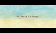 两个月泰迪怎么吃蛋黄