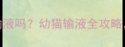 2个月大猫咪能输液吗幼猫输液全攻略新手爸妈必看