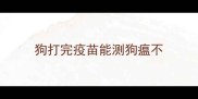 狗打完疫苗能测狗瘟不