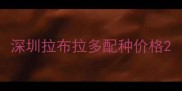 深圳拉布拉多配种价格