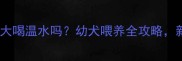 哈士奇两个月大喝温水吗幼犬喂养全攻略新手家长必看