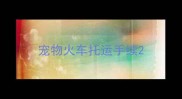 宠物火车托运手续