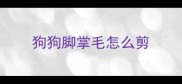 狗狗脚掌毛怎么剪
