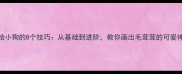 手绘小狗的8个技巧从基础到进阶教你画出毛茸茸的可爱神态